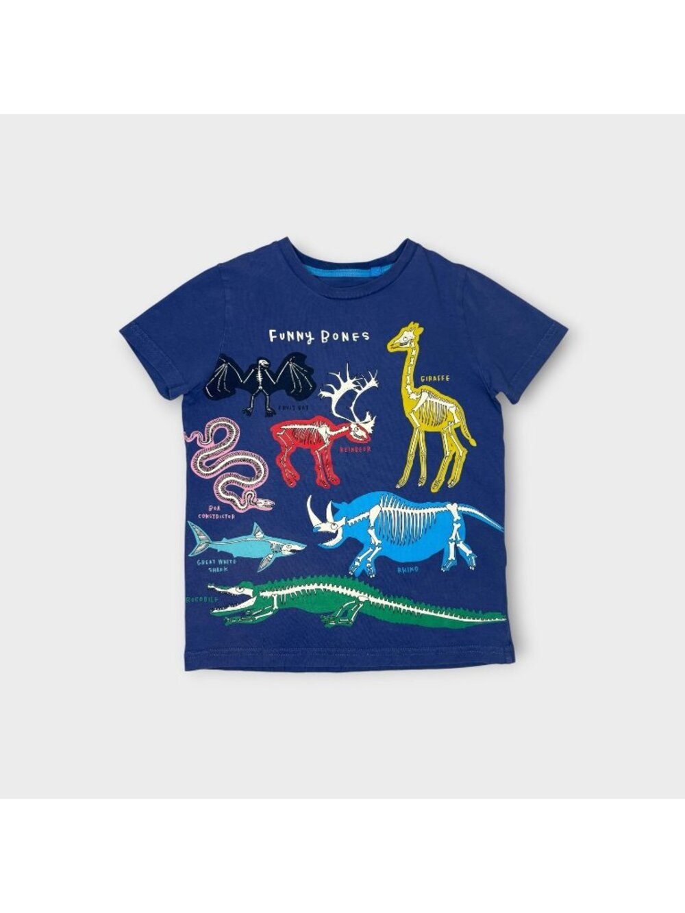 Mini Boden Finding Bones Educational Animal Blue Shirt